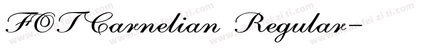 FOTCarnelian Regular字体转换